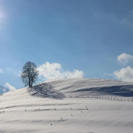 Bichelblick
